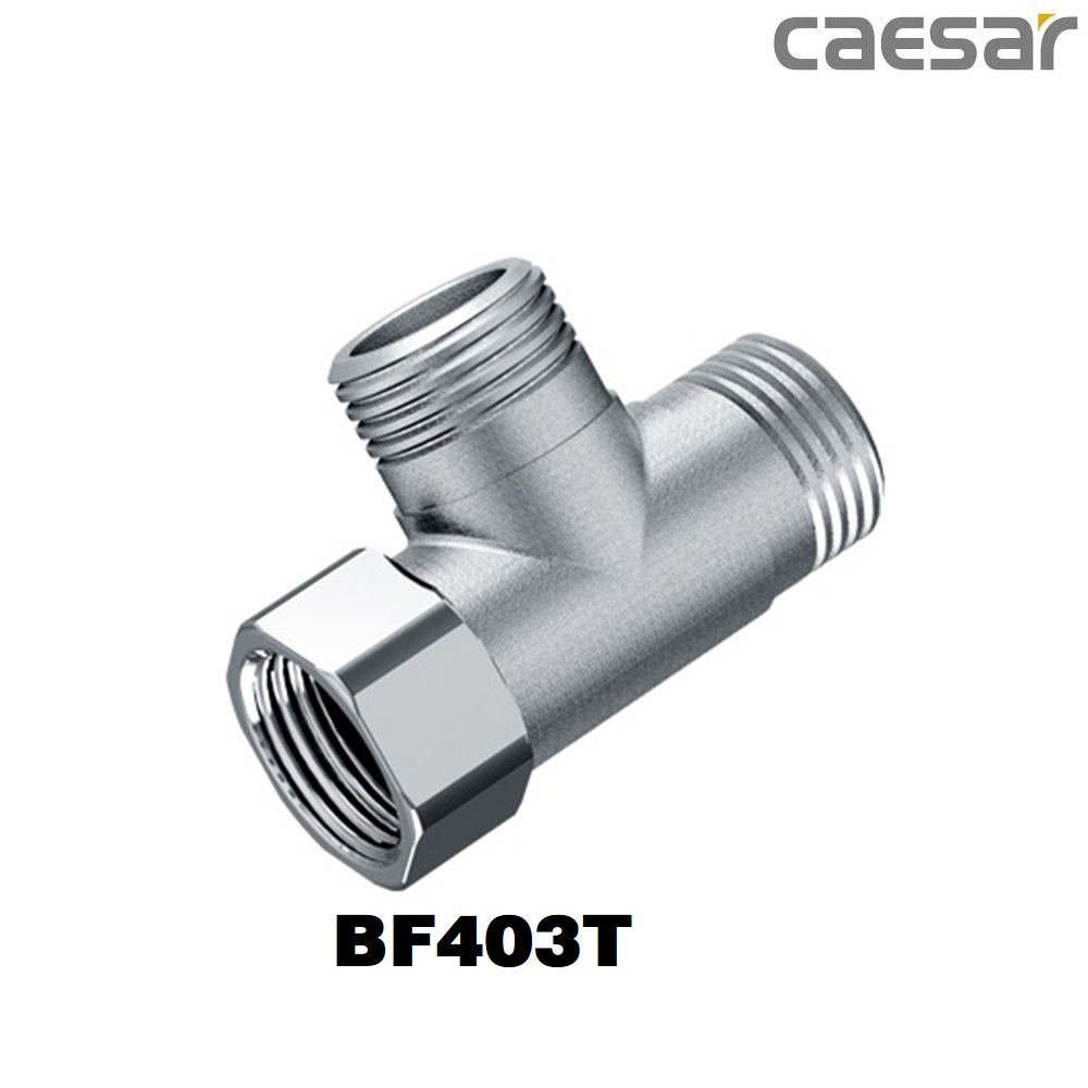 te-chia-nhanh-caesar-bf403t