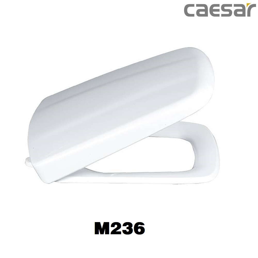 nap-bon-cau-caesar-m236