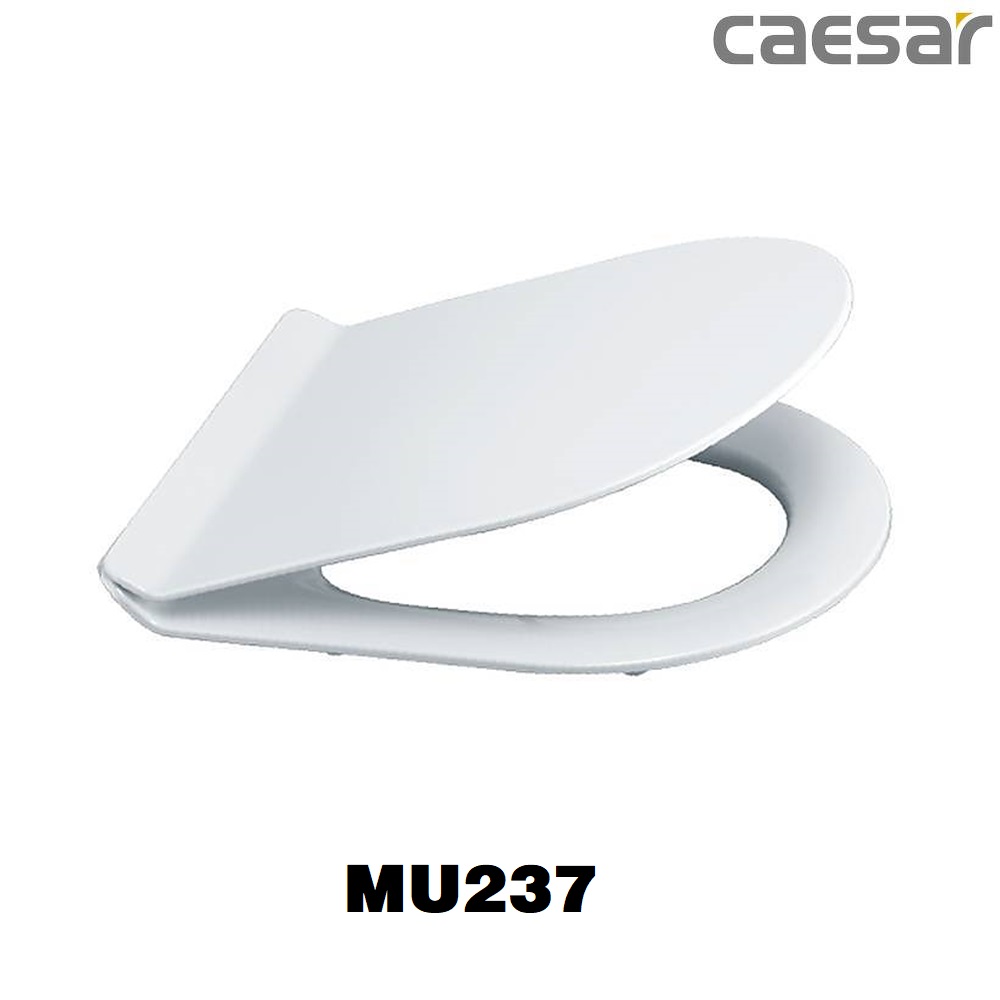nap-bon-cau-caesar-mu237