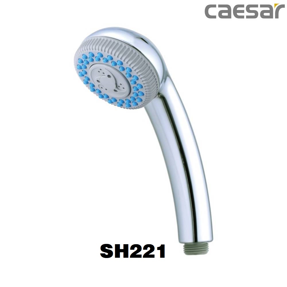 bat-sen-cam-tay-caesar-sh221