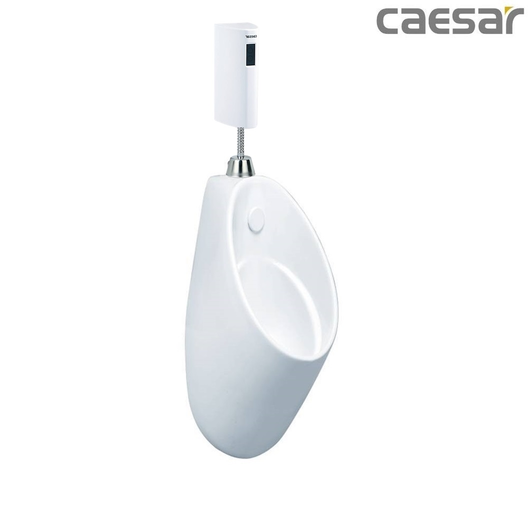 bon-tieu-ket-hop-xa-tieu-caesar-u0211-a656