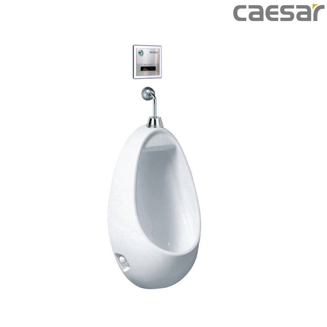 bon-tieu-ket-hop-xa-tieu-caesar-u0221-a637