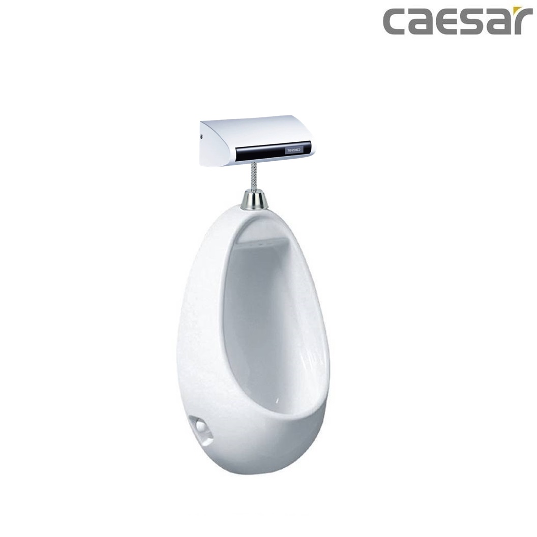 bon-tieu-ket-hop-xa-tieu-caesar-u0221-a648