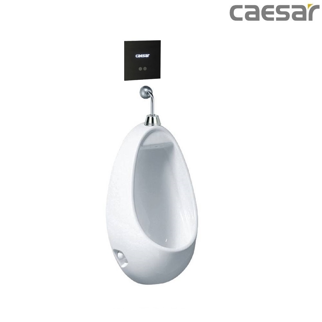 bon-tieu-ket-hop-xa-tieu-caesar-u0221-a654