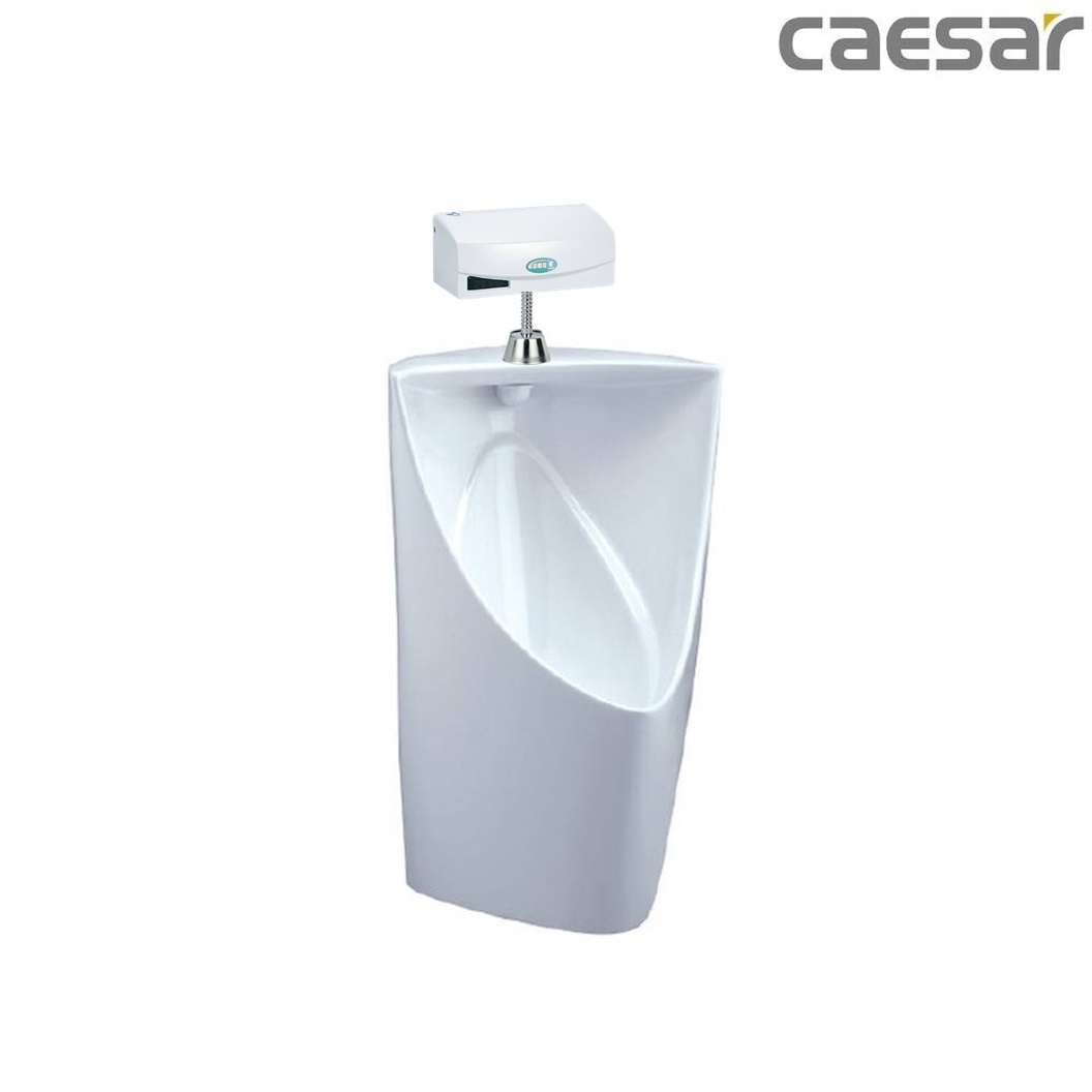 bon-tieu-ket-hop-xa-tieu-caesar-u0233-a623