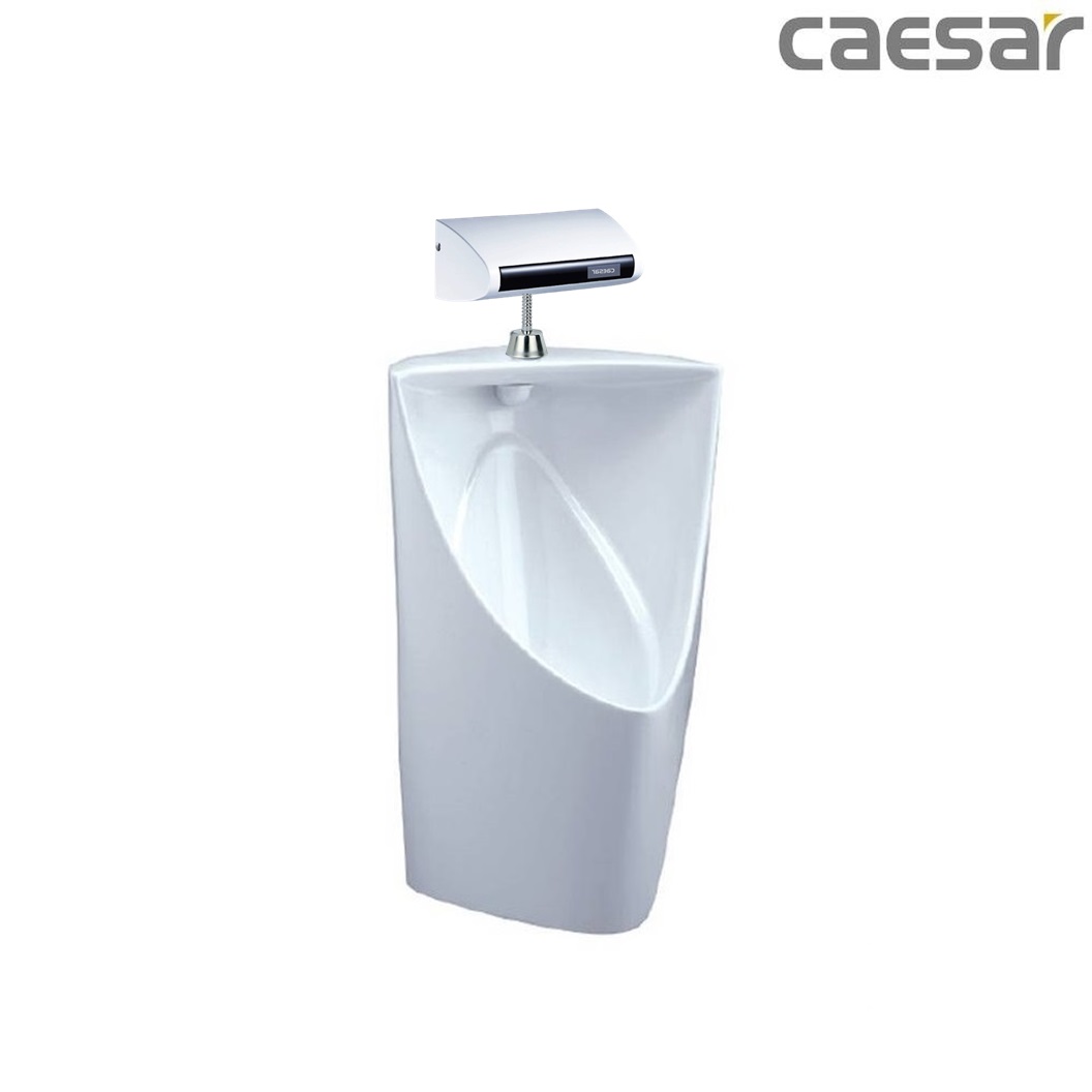 bon-tieu-ket-hop-xa-tieu-caesar-u0233-a648