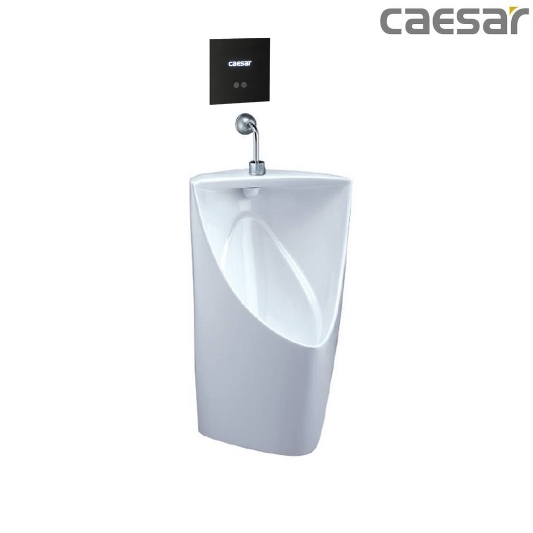 bon-tieu-ket-hop-xa-tieu-caesar-u0233-a654