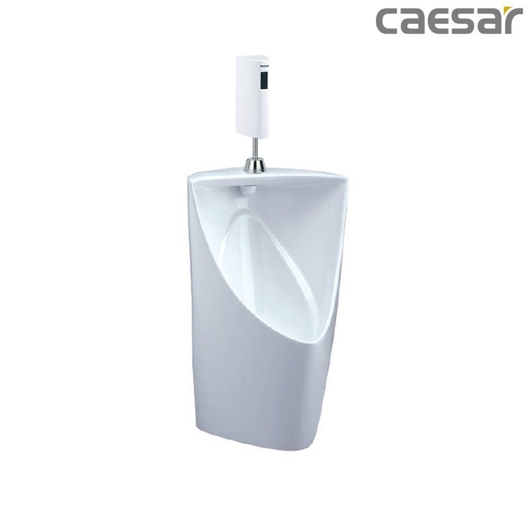 bon-tieu-ket-hop-xa-tieu-caesar-u0233-a656