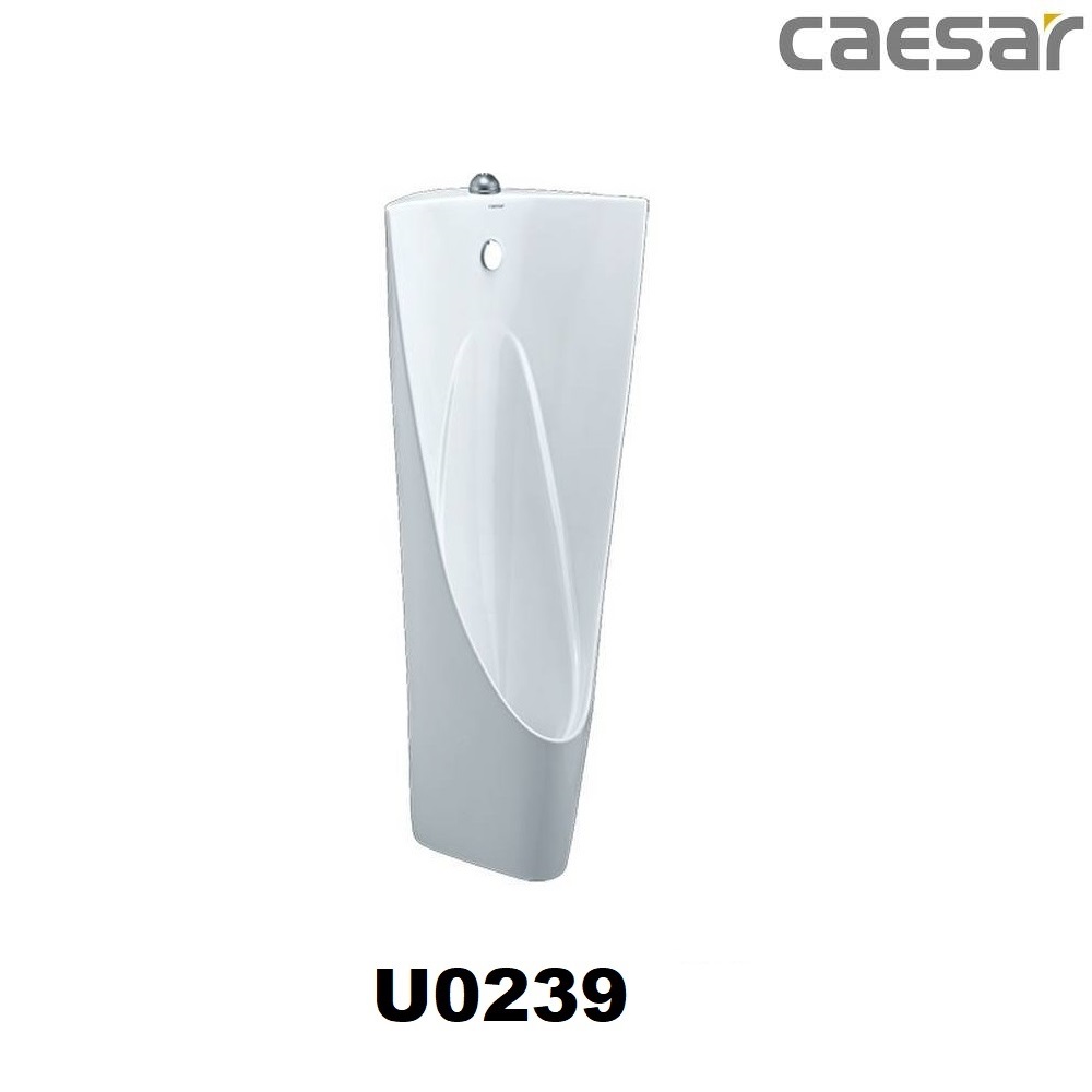 bon-tieu-nam-caesar-u0239