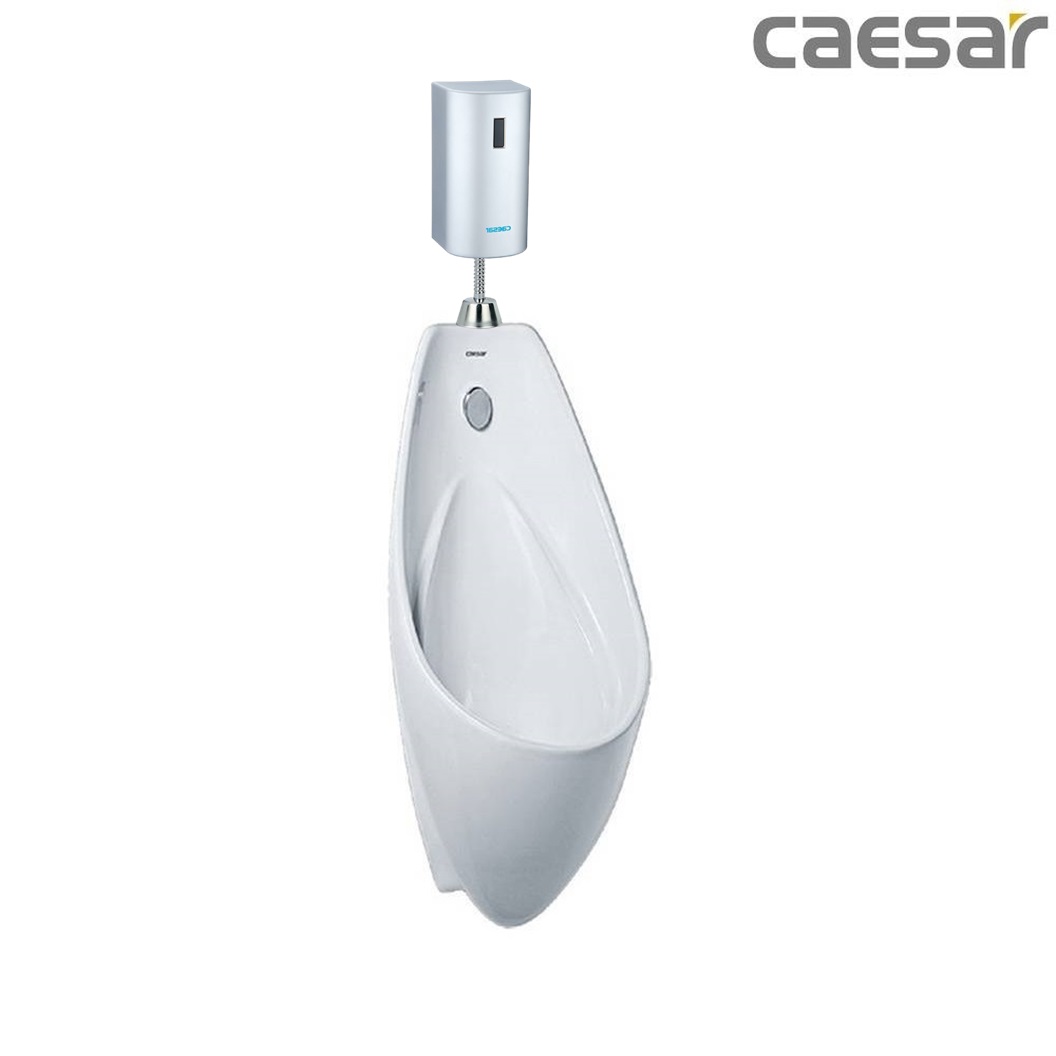 bon-tieu-ket-hop-xa-tieu-caesar-u0264-a624