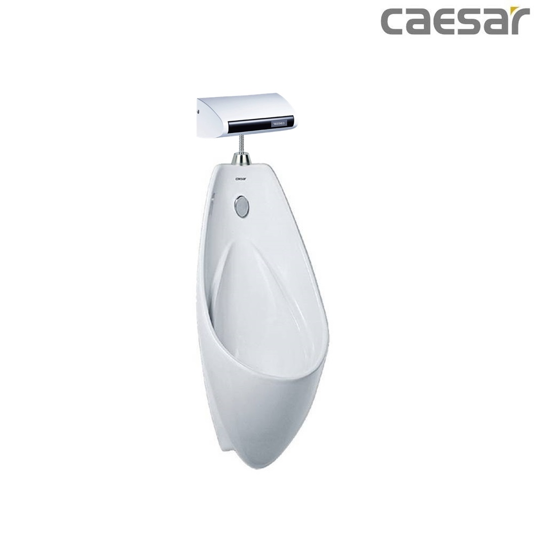 bon-tieu-ket-hop-xa-tieu-caesar-u0264-a648