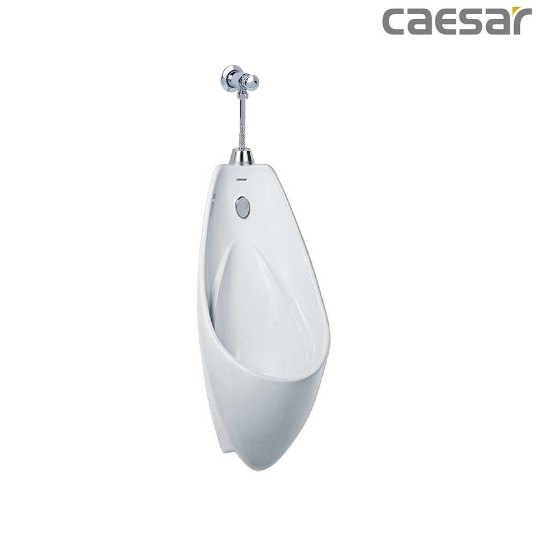 bon-tieu-ket-hop-xa-tieu-caesar-u0264-bf410