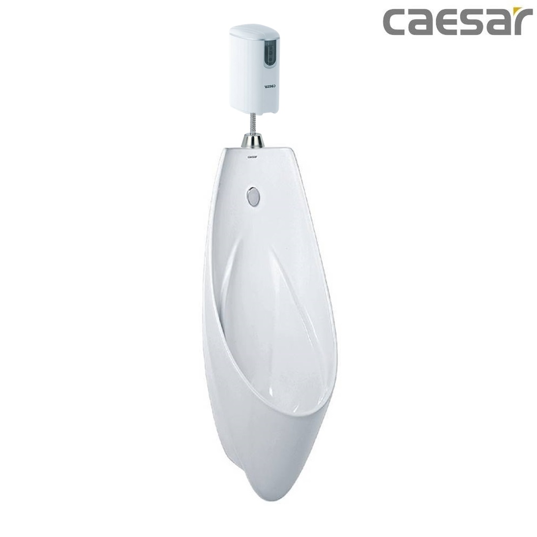 bon-tieu-ket-hop-xa-tieu-caesar-u0266-a652dc