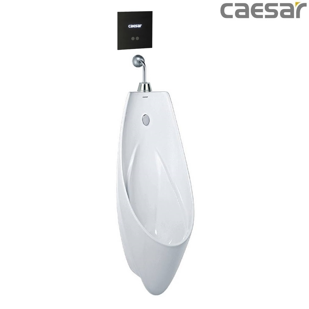 bon-tieu-ket-hop-xa-tieu-caesar-u0266-a654