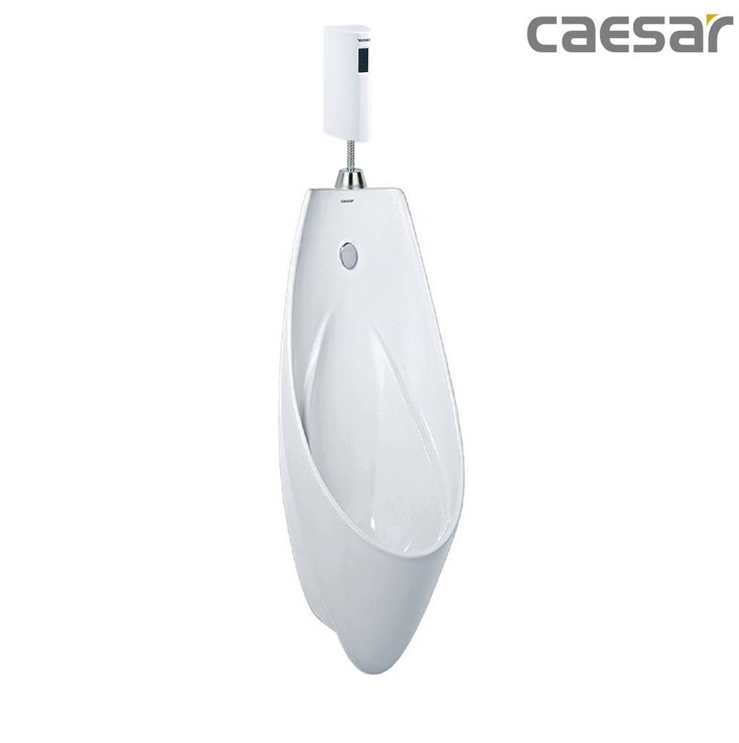 bon-tieu-ket-hop-xa-tieu-caesar-u0266-a656