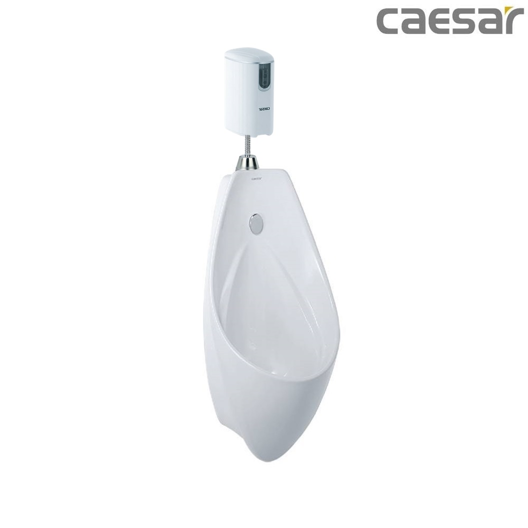 bon-tieu-ket-hop-xa-tieu-caesar-u0267-a652dc