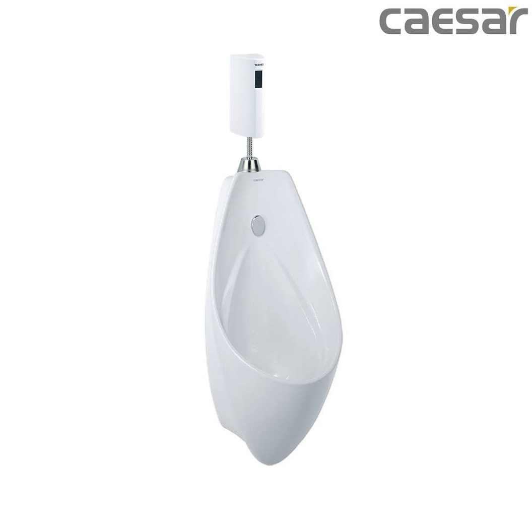 bon-tieu-ket-hop-xa-tieu-caesar-u0267-a656