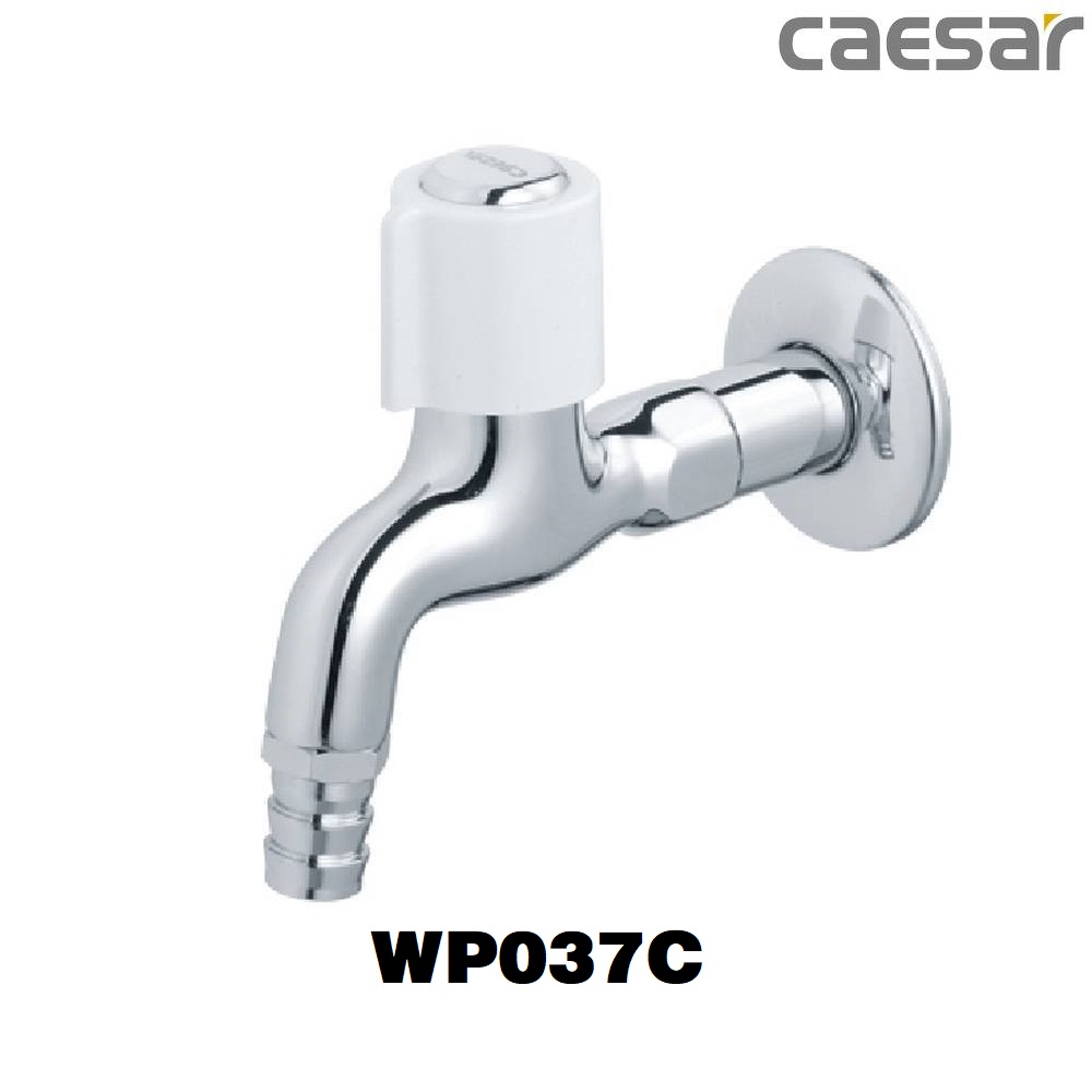 voi-ho-gan-tuong-caesar-wp037c