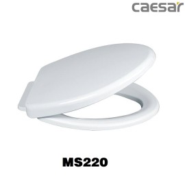 nap-bon-cau-caesar-ms220