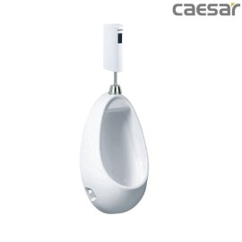 bon-tieu-ket-hop-xa-tieu-caesar-u0221-a656