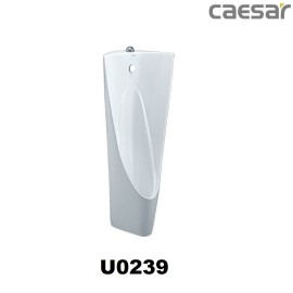 bon-tieu-nam-caesar-u0239