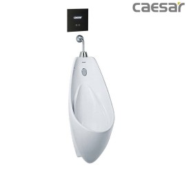 bon-tieu-ket-hop-xa-tieu-caesar-u0264-a654