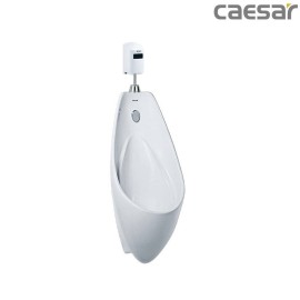 bon-tieu-ket-hop-xa-tieu-caesar-u0264-a657dc