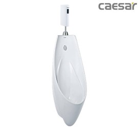 bon-tieu-ket-hop-xa-tieu-caesar-u0266-a656