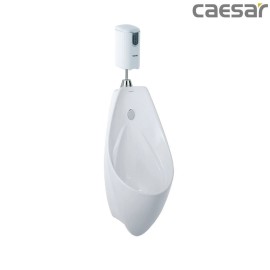 bon-tieu-ket-hop-xa-tieu-caesar-u0267-a652dc