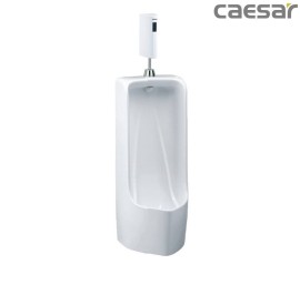 bon-tieu-ket-hop-xa-tieu-caesar-u0296-a656